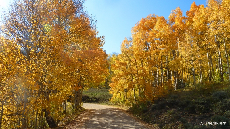 Crested Butte fall colors