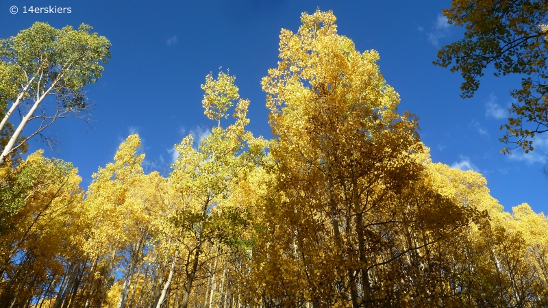 Crested Butte fall colors