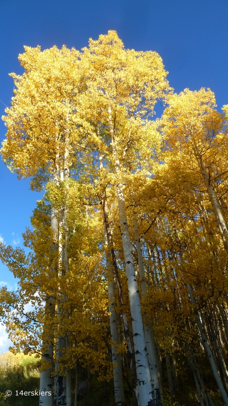 Crested Butte fall colors