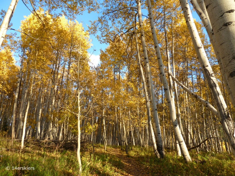 Crested Butte fall colors