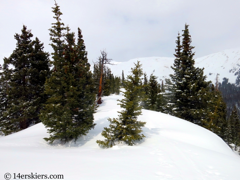 Backcountry skiing Loveland Pass Hippie Trees.