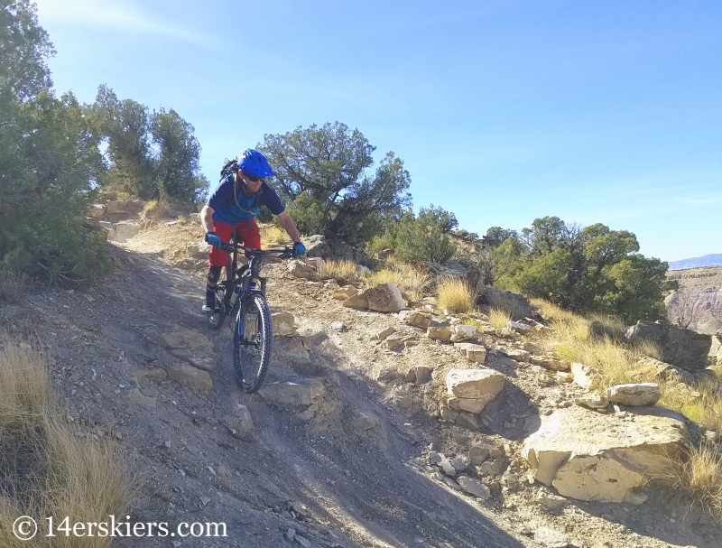 Mountain biking Zion Curtain