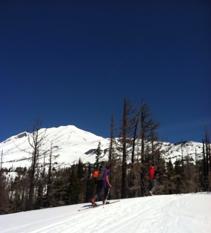 TR: SW Chutes of Mount Adams, Washington (8 May 2014) 