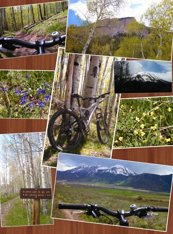 mountain biking in Crested Butte