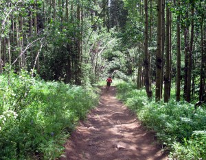 hunter creek trail