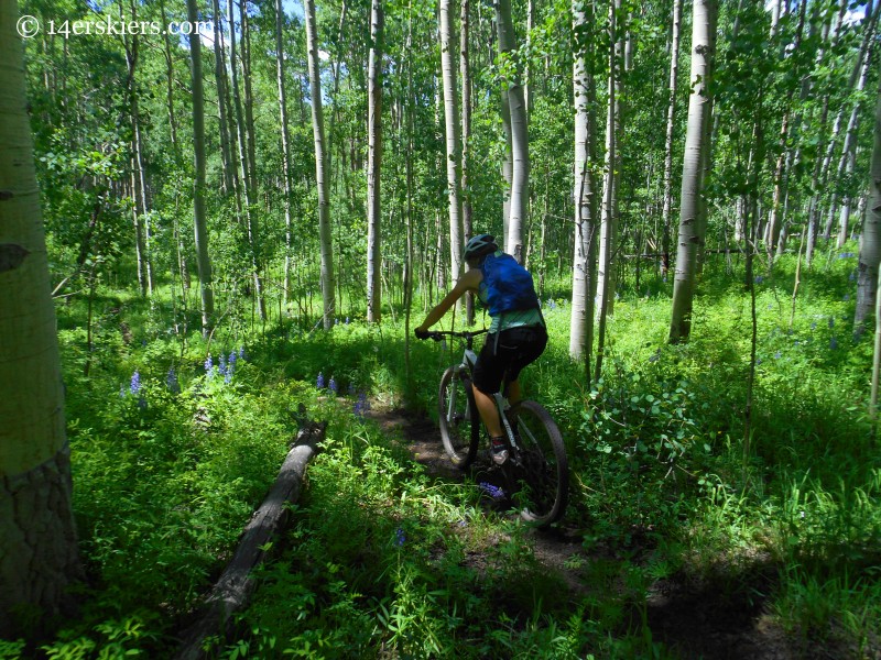 Mountain biking near Crested Butte