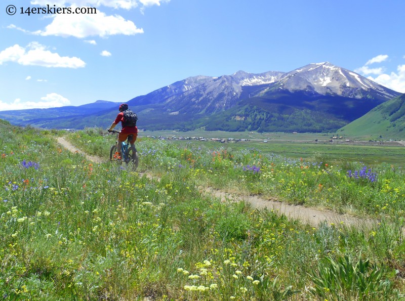 mountain biking Tony's Trail near Crested Butte