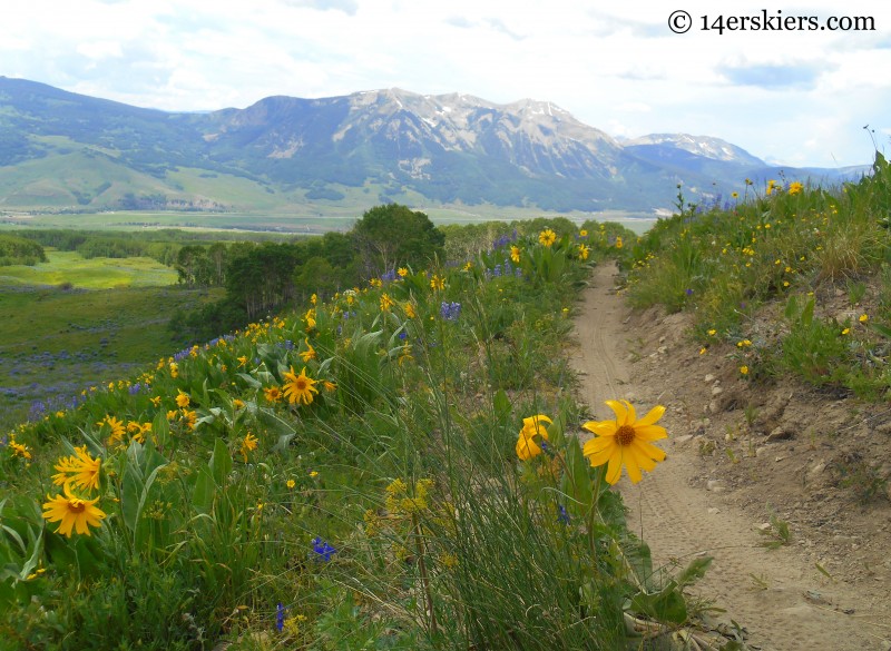 mountain biking Point Lookout Trail near Crested Butte