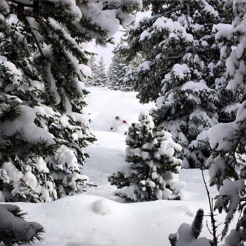 Brittany Walker Konsella skiing powder in the Monarch Pass backcountry.