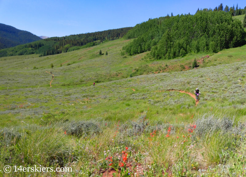 Mountain biking Cement Creek Trail near Crested Butte.