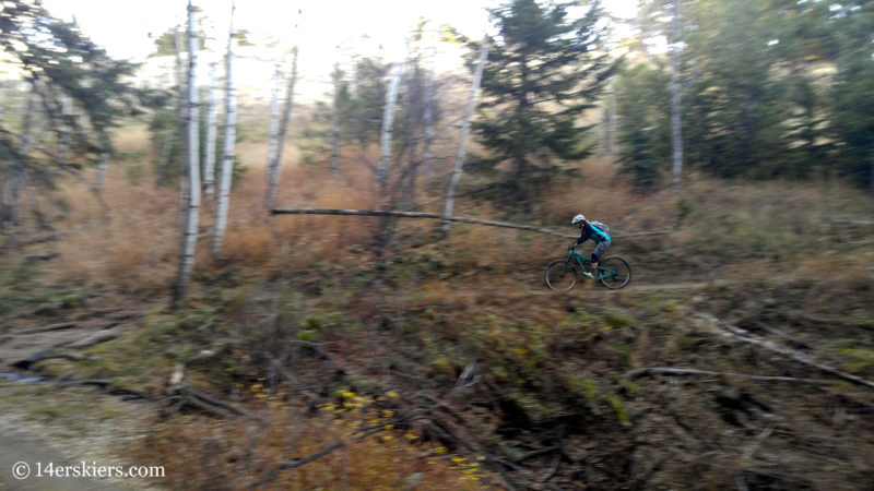 Mountain biking Apex trail near Golden, CO