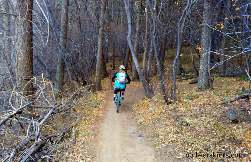 Mountain biking Enchanted Forest in Apex near Golden, CO