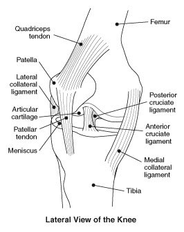 How to heal from ACL knee surgery 