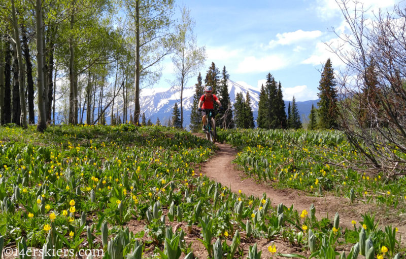 Snodgrass Trail - best early season bike rides near Crested Butte